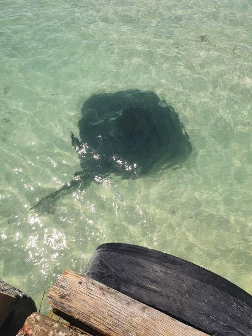 Southern Most Tip Of Africa Apartment With Sea Views アグラス エクステリア 写真